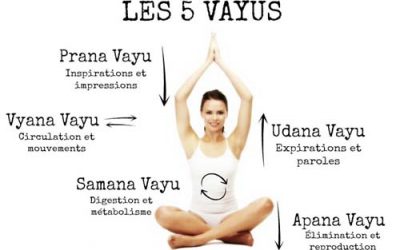 Rôle des 5 Vayus dans le corps :
